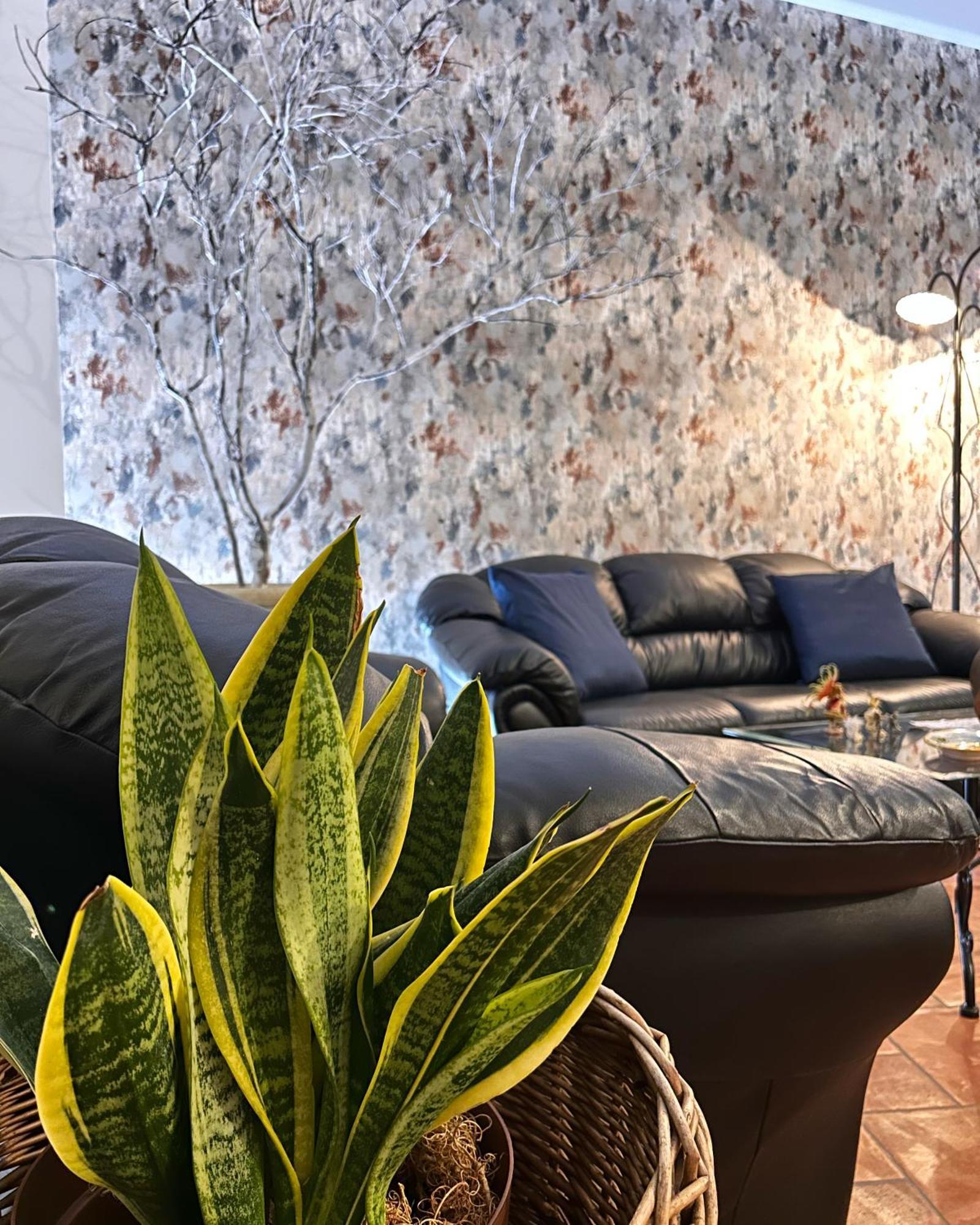 Ohana House Giarre Zewnętrze zdjęcie